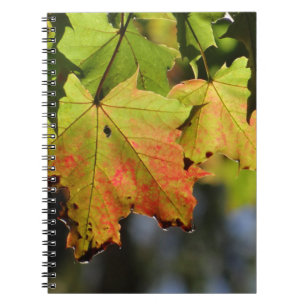 Colourful fall leaves notebook