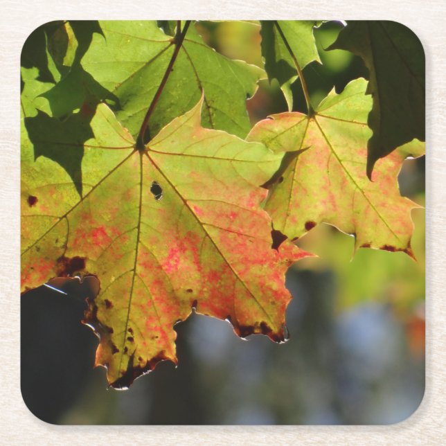 Colourful fall leaves square paper coaster (Front)
