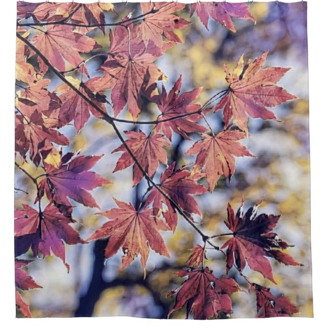 Colourful Fall leaves with fall colours watercolor (Front)