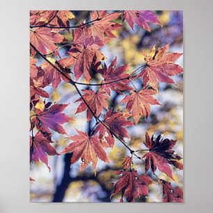 Colourful Fall leaves with fall colours watercolor Poster