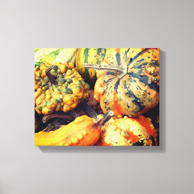 Colourful Fancy Gourds Close Up Canvas Print (Front)