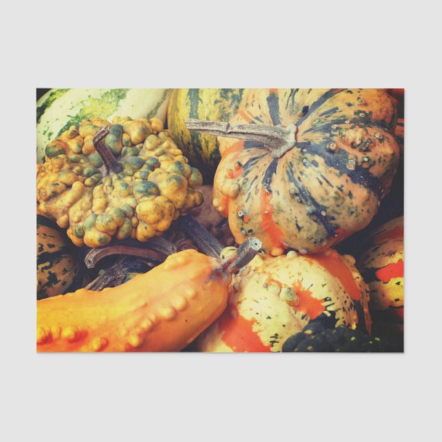 Colourful Fancy Gourds Close Up Decoupage Tissue Paper (Front)