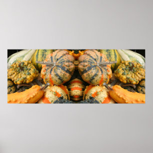 Colourful Fancy Gourds Close Up Mirror Abstract Poster