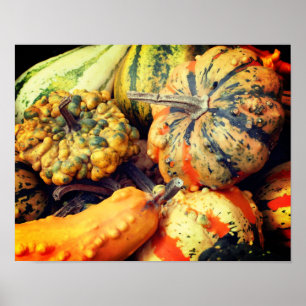 Colourful Fancy Gourds Close Up Poster