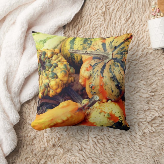 Colourful Fancy Gourds Close Up Throw Pillow (Blanket)
