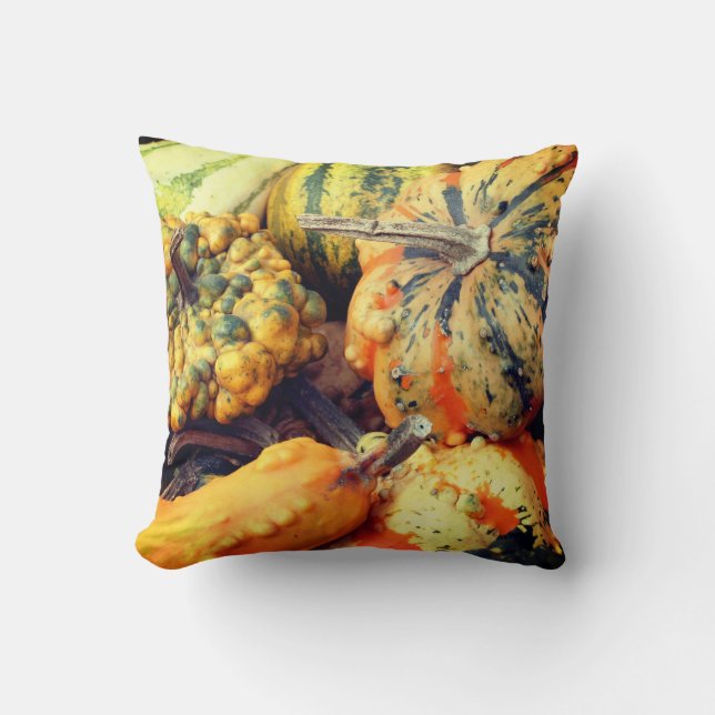 Colourful Fancy Gourds Close Up Throw Pillow (Front)