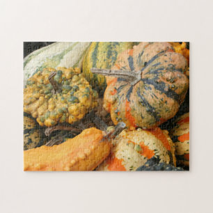 Colourful Fancy Gourds Fall Jigsaw Puzzle