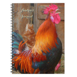 Colourful Farm Rooster Personal Journal