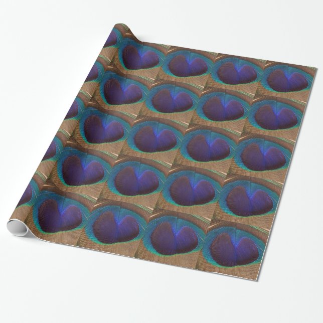 Colourful Feather Wrapping Paper (Unrolled)