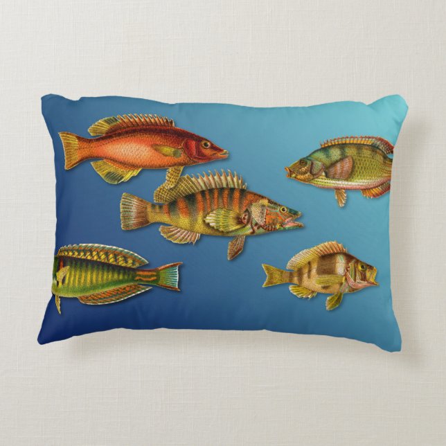 Colourful Fish Accent Pillow (Back)