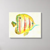 Colourful Fish