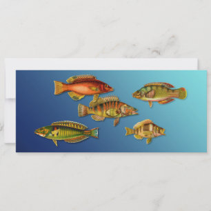 Colourful Fish Invitation
