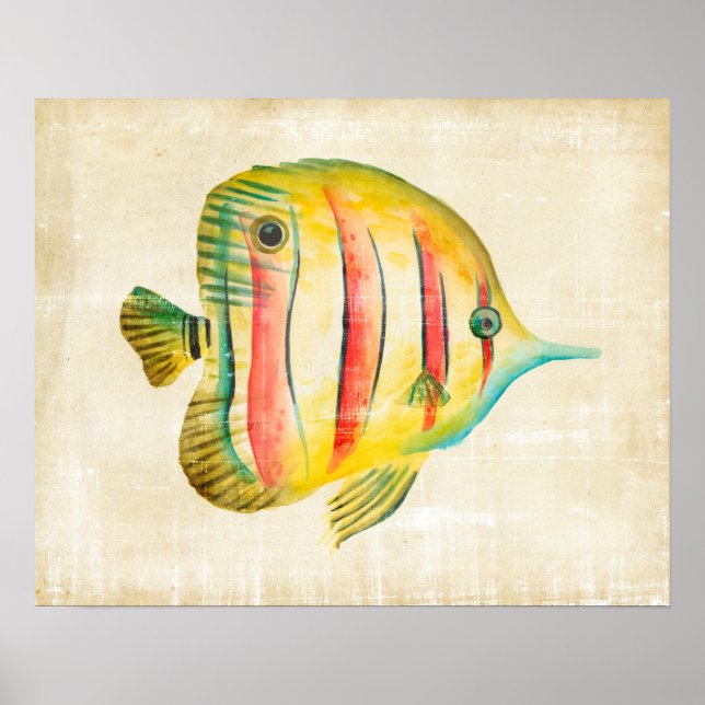 Colourful Fish Poster (Front)