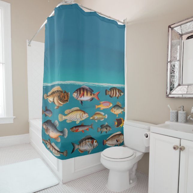 Colourful Fish Under Blue Ocean Water  (In Situ)