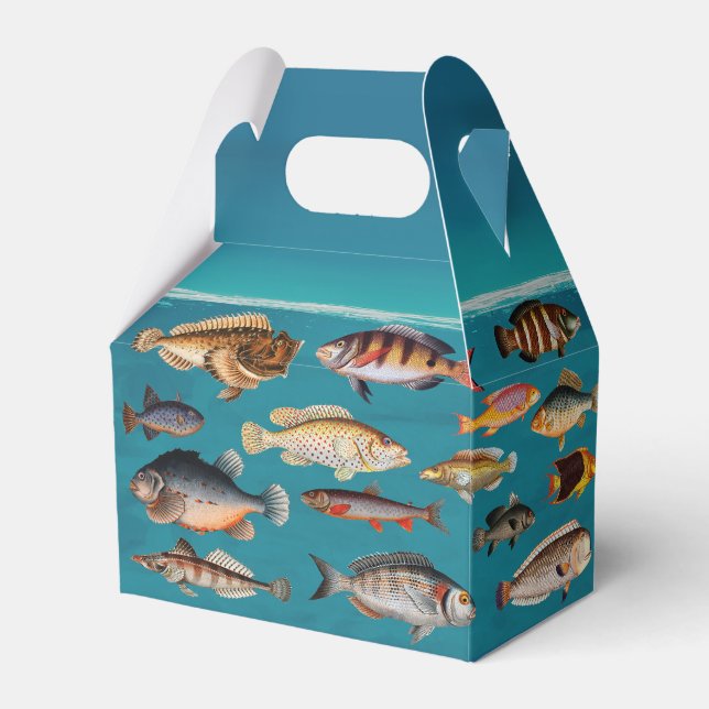 Colourful Fish Under Blue Ocean Water   Favor Box (Front Side)
