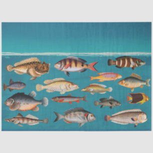 Colourful Fish Under Blue Ocean Water  Tissue Paper
