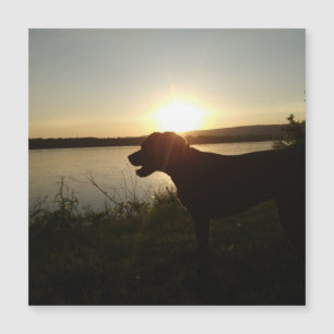 Colourful floral design magnet