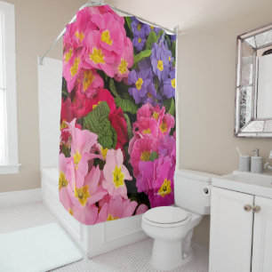 Colourful Floral Pink Blue Purple Primula Flowers