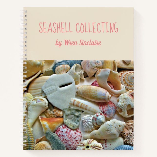 Colourful Florida Seashells Personalized Journal (Front)