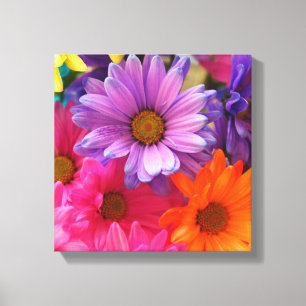 Colourful Flower Daisies Canvas  Single
