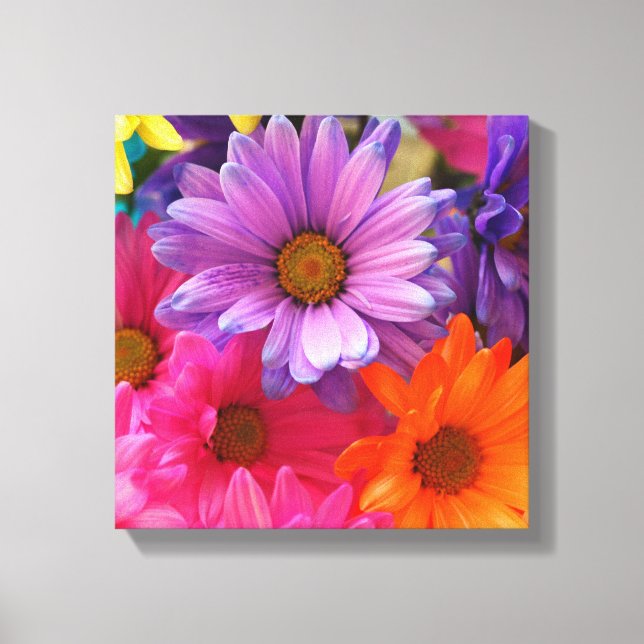 Colourful Flower Daisies Canvas  Single (Front)