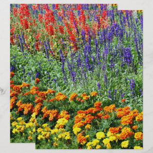 Colourful Flower Garden In Summer Scrapbook