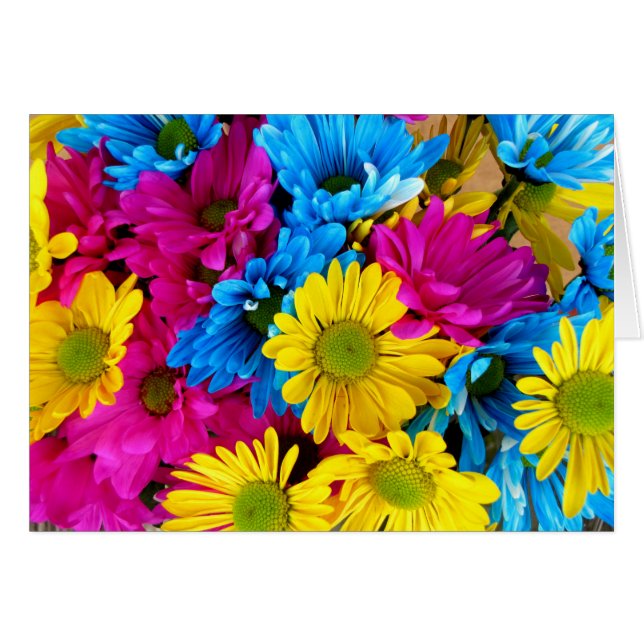 Colourful Flowers, Daisies - Blue Yellow Pink (Front Horizontal)