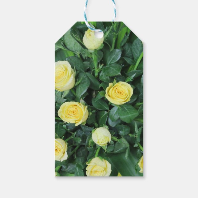 colourful+ flowers,    garden+ gnome, gift tags (Front)