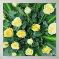 colourful+ flowers, garden+ gnome,