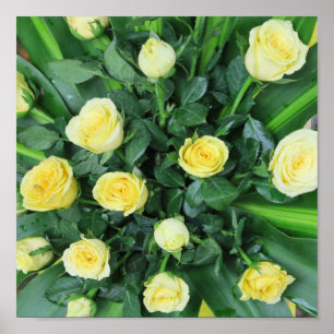 colourful+ flowers,    garden+ gnome, poster