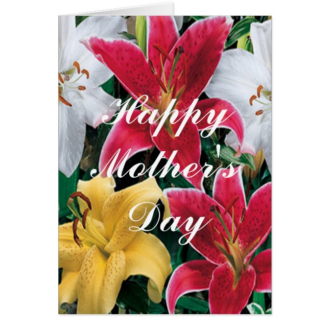 Colourful Flowers Greeting Card (Front)