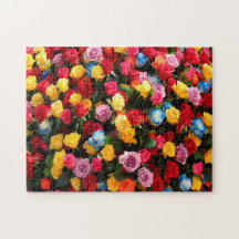 colourful  Flowers