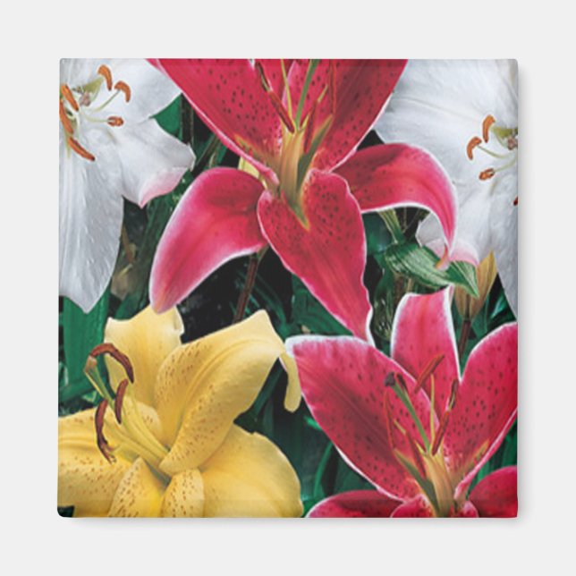 Colourful Flowers Magnet (Front)