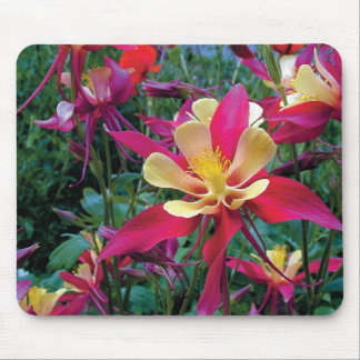colourful flowers mouse pad
