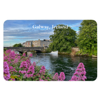 Colourful Flowers on River Corrib Galway, Ireland  Magnet