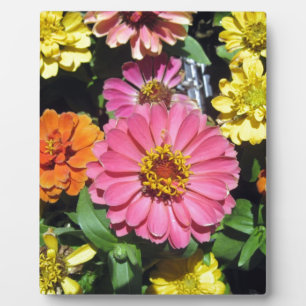 Colourful Flowers Plaque