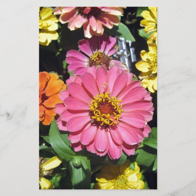 Colourful Flowers Stationery (Front)