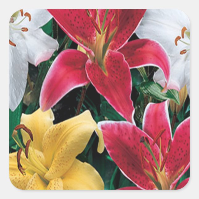 Colourful Flowers Stickers (Front)