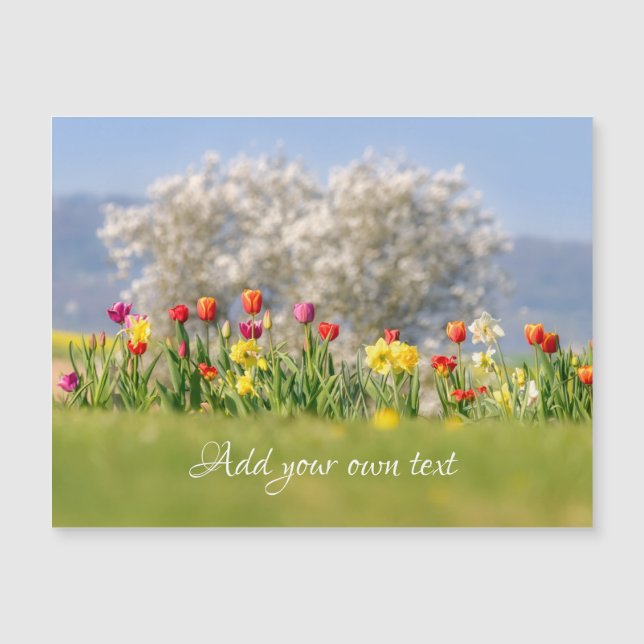 Colourful Flowers Tulips + Daffodils  Magnetic Car (Front)