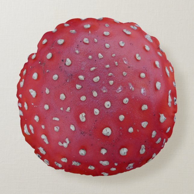 Colourful Fly Amantis Pattern Round Pillow (Front)