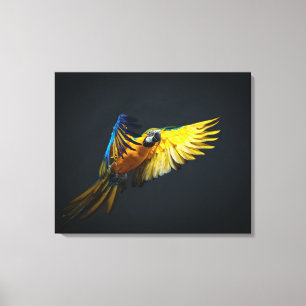 Colourful flying Ara on a dark background Canvas Print