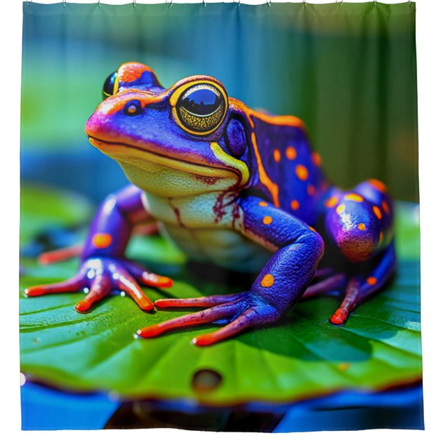 Colourful Frog (Front)
