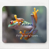 Colourful Frog
