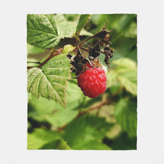 Colourful Fruits And Vegetables Fleece Blanket (Front)