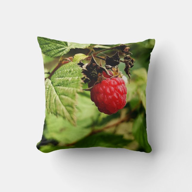 Colourful Fruits And Vegetables Throw Pillow (Front)