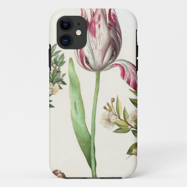 Colourful Fruits Case-Mate iPhone Case (Back)