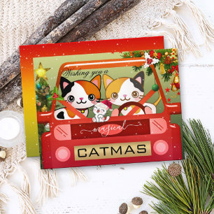 Colourful Funny Cat Catmas New Year Card