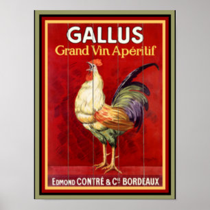 Colourful Gallus  Vintage Ad Poster 12 x 16