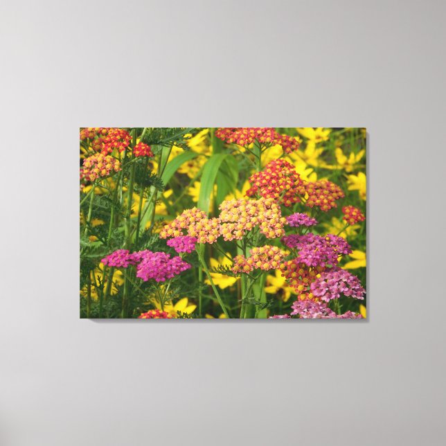 Colourful Garden Flowers Wrapped Canvas Print (Front)