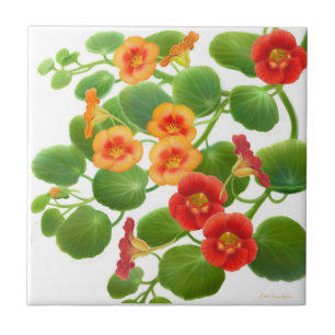 Colourful Garden Nasturtium Flowers Tile